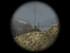 snipe
